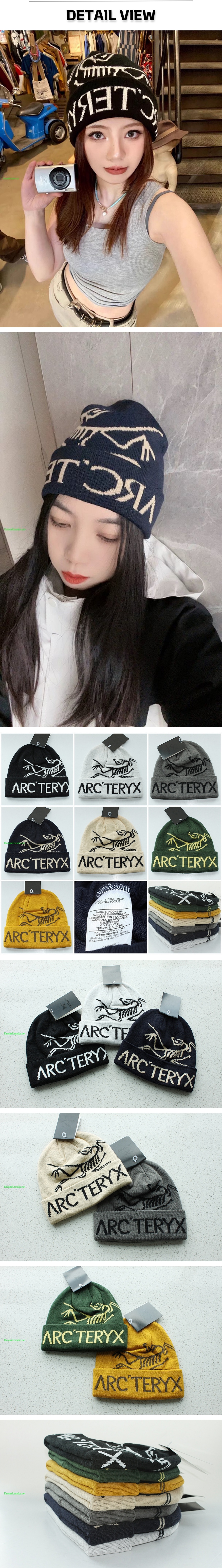 11번 0321 아크테릭스 버드 워드 토크 비니.jpg