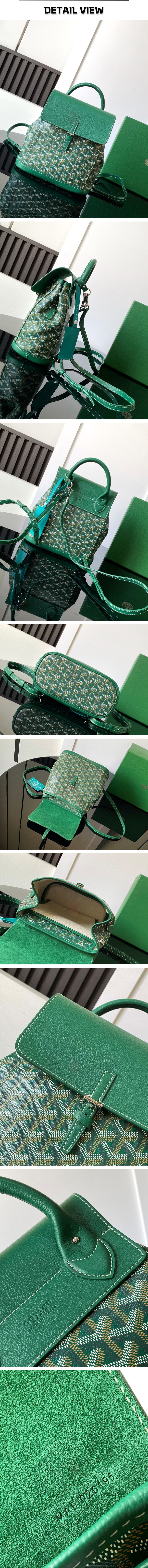 13번 0329 고야드 알핀 그린 미니 백팩.jpg